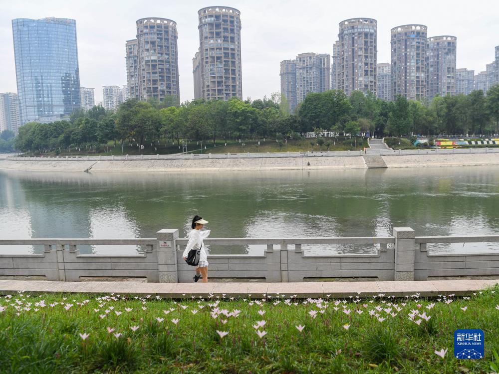 棋牌软件园